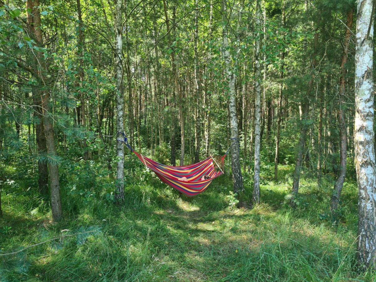 Dworek Ogrodniki, Caloroczny Dom Na Wylacznosc, Basen, Sauna, Las, Staw Rybny, Altana Grillowa, Ognisko, Pianino, Kominek, Piec Chlebowy, Duza Ogrodzona Posesja Tuczna Екстериор снимка