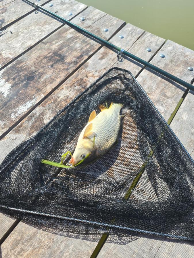 Dworek Ogrodniki, Caloroczny Dom Na Wylacznosc, Basen, Sauna, Las, Staw Rybny, Altana Grillowa, Ognisko, Pianino, Kominek, Piec Chlebowy, Duza Ogrodzona Posesja Tuczna Екстериор снимка