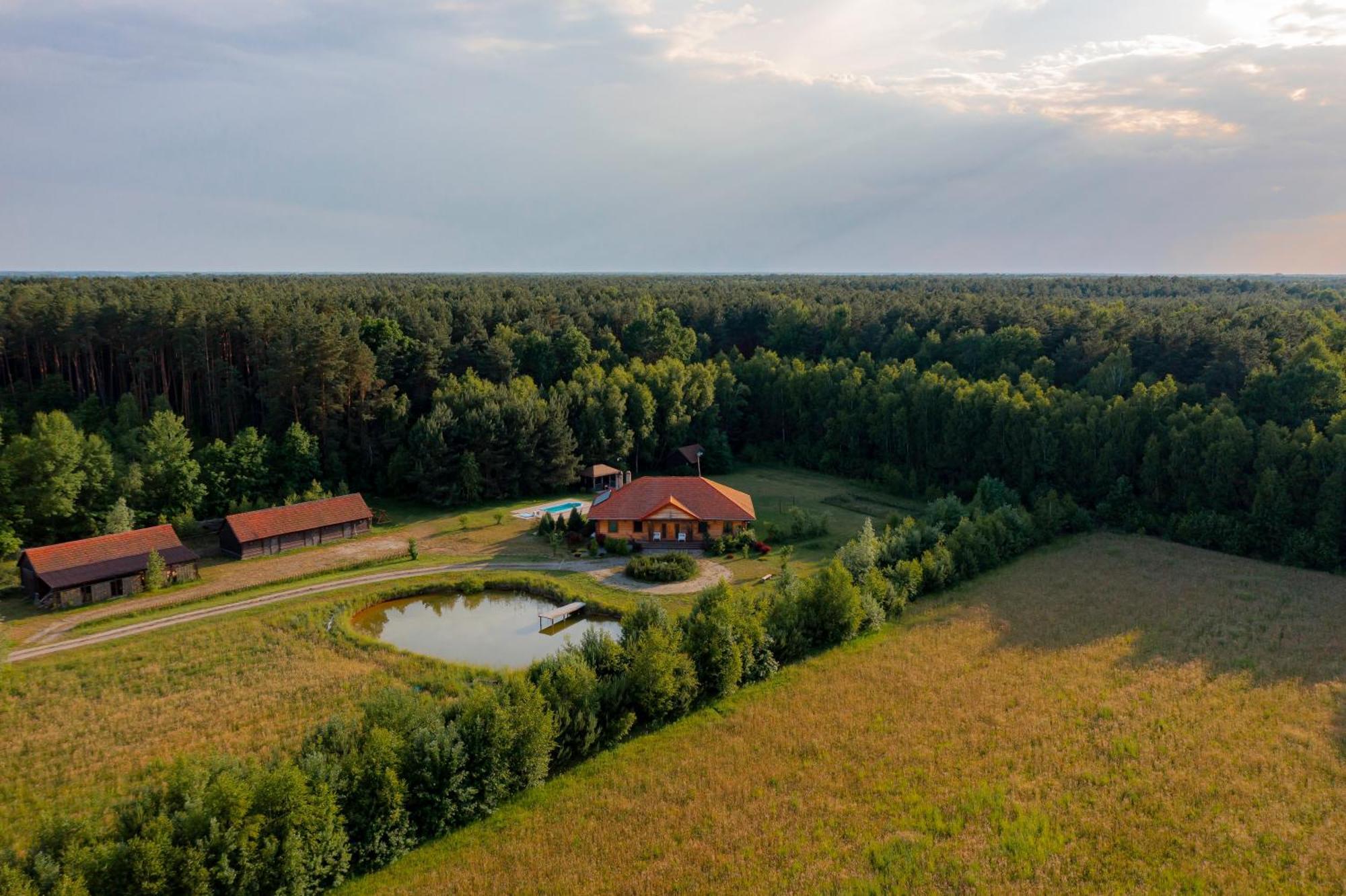 Dworek Ogrodniki, Caloroczny Dom Na Wylacznosc, Basen, Sauna, Las, Staw Rybny, Altana Grillowa, Ognisko, Pianino, Kominek, Piec Chlebowy, Duza Ogrodzona Posesja Tuczna Екстериор снимка