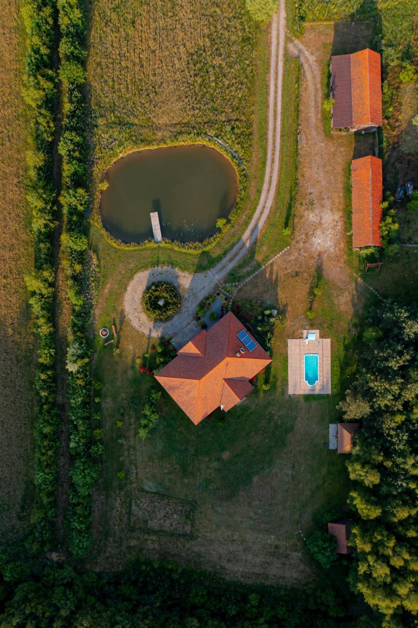 Dworek Ogrodniki, Caloroczny Dom Na Wylacznosc, Basen, Sauna, Las, Staw Rybny, Altana Grillowa, Ognisko, Pianino, Kominek, Piec Chlebowy, Duza Ogrodzona Posesja Tuczna Екстериор снимка