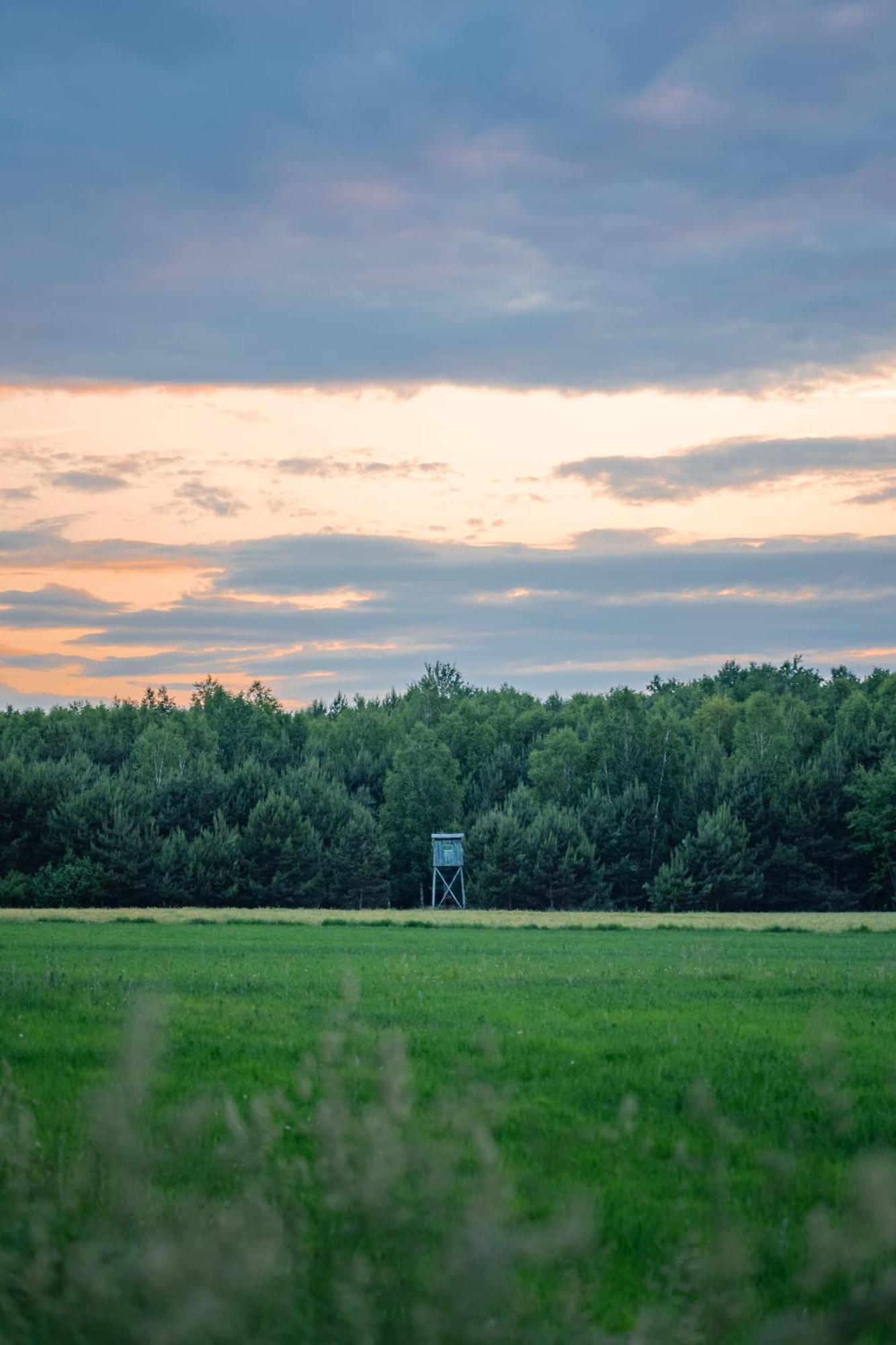 Dworek Ogrodniki, Caloroczny Dom Na Wylacznosc, Basen, Sauna, Las, Staw Rybny, Altana Grillowa, Ognisko, Pianino, Kominek, Piec Chlebowy, Duza Ogrodzona Posesja Tuczna Екстериор снимка
